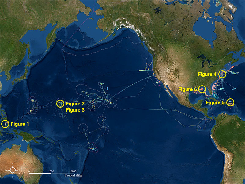 How Much Of The Ocean Floor Has Been Explored 2021 Viewfloor.co