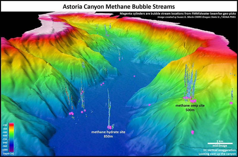 Three-dimensional image of Astoria Canyon methane bubble stream locations, indicated by magenta cylinders on the seafloor. Image is three times vertically exaggerated.