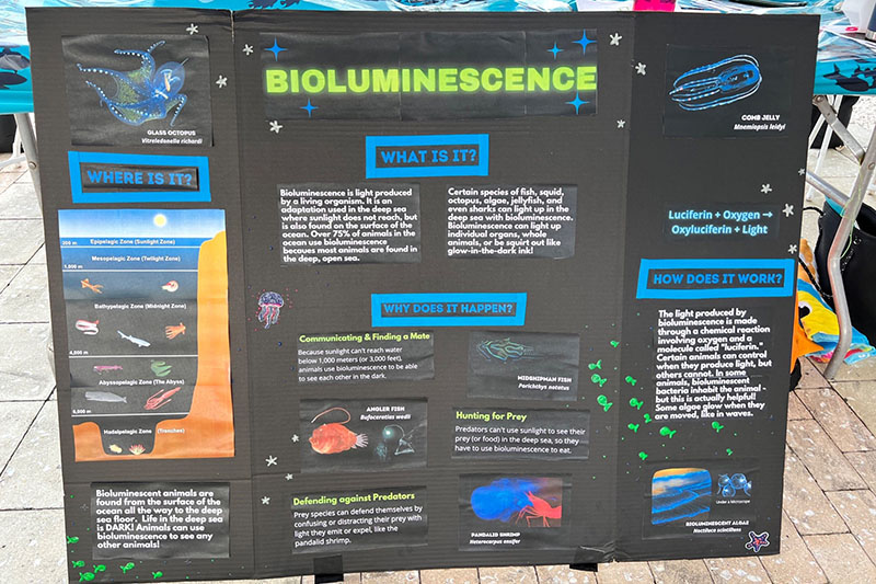 At the “Feeding Frenzy” station, Ocean Explorers journeyed to the deep sea to learn about bioluminescence and how it is used in predator-prey interactions through game play!
