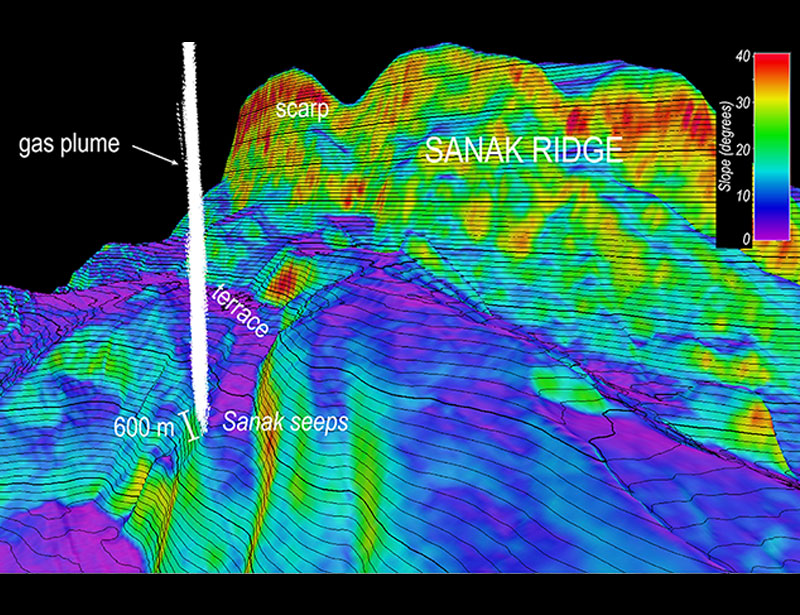 Rendering of the water column gas flare anomalies that guided the Seascape Alaska 3 dive at the Sanak seeps. Contours show bathymetry, and colors show slope in degrees, with red being steep angles. This view looks east along the line of seeps, and the total width of the seeping area is about 600 meters (1,950 feet). The trench is towards the right.