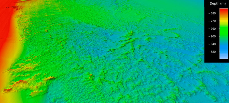 Example of seafloor multibeam bathymetry data showing the coral mound features located on the Blake Plateau.