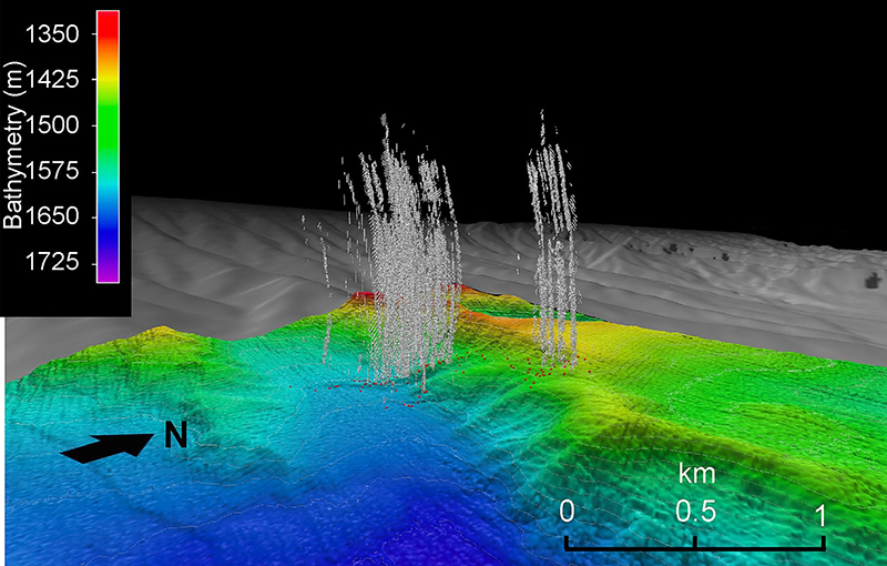 This 3D composite of water column data collected during an expedition on NOAA Ship Okeanos Explorer shows active seepage at the Norfolk seeps field. Red dots correspond to methane seeps, and the gray features show gas plumes as detected by the multibeam sonar.