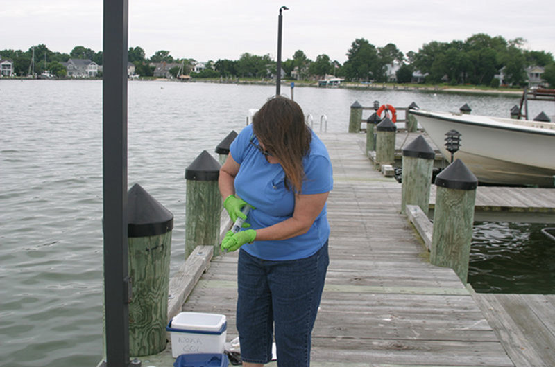 Oxford Lab, Chesapeake Bay, Maryland: Shawn McLaughlin filtering water to collect marine microbes.