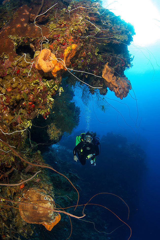 Photo of diver exploring a healthy coral wall off the coast of Eleuthera in the Bahama islands.