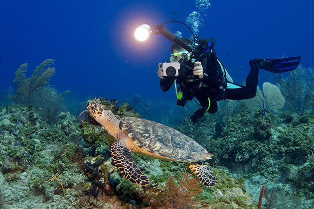 A young SCUBA diver using her underwater camera to photography a sea turtle so she can share with her friends her experiences while diving