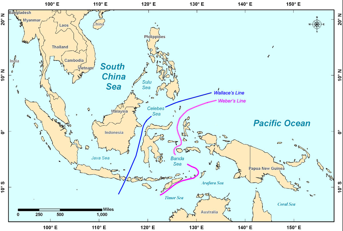 Biogeografi Wilayah Index Satal Background Information Index 2010 Indonesia Usa Deep Sea Exploration Of The Sangihe Talaud Region Noaa Ship Okeanos Explorer Noaa Office Of Ocean Exploration And Research