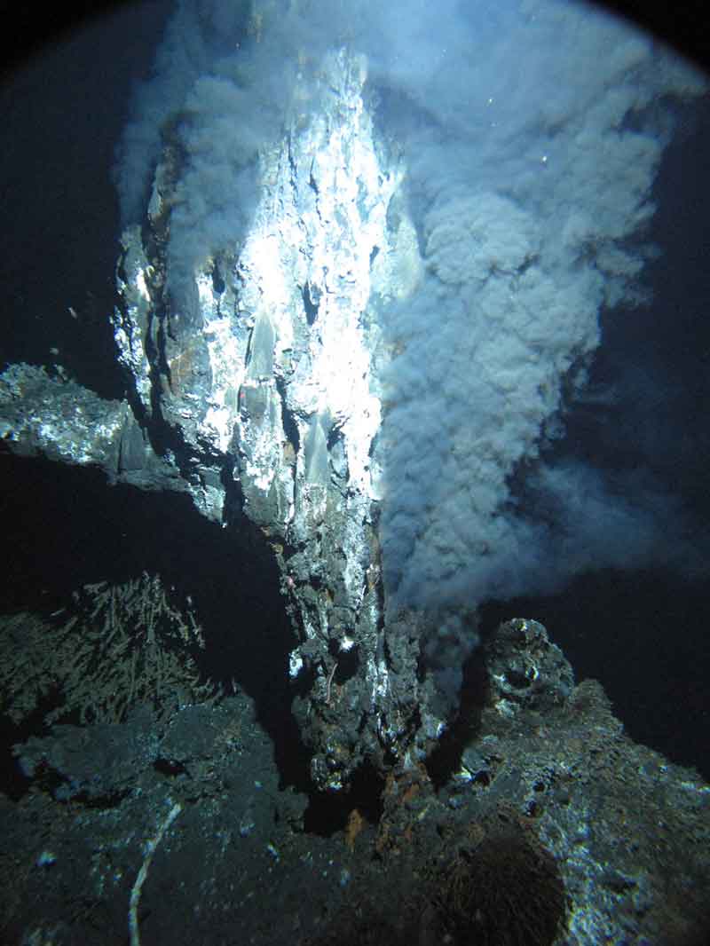A black smoker chimney named ‘Boardwalk’ emitting 644°F (340°C) hydrothermal fluids in the northeastern Pacific Ocean at a depth of 7,260 feet (2,200 m). Microbes grow within and on the surface of such mineral formations.