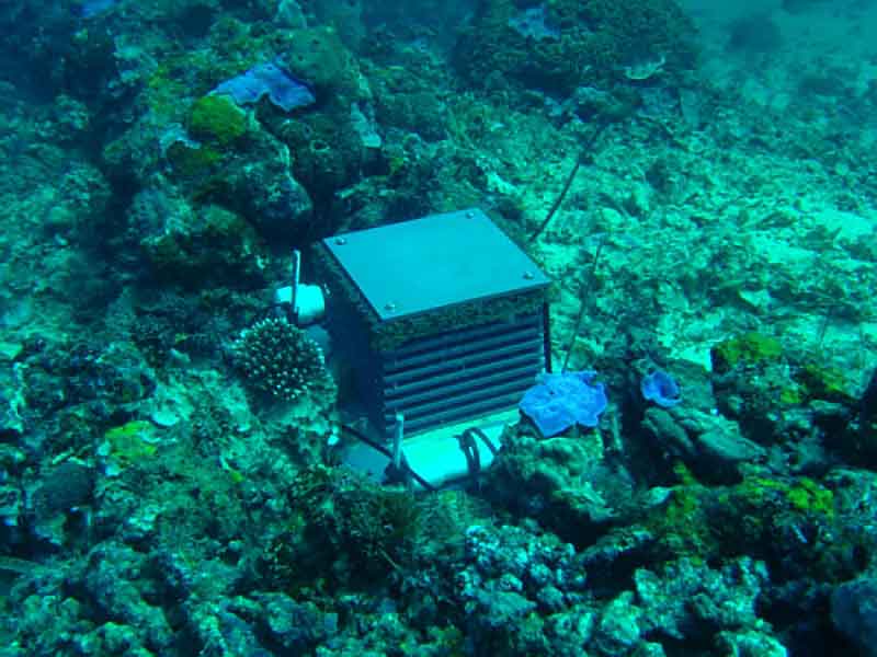 An ARMS unit installed on the seafloor. The design consists of alternating four open and four semi-closed layers constructed with 23 cm x 23 cm gray, type 1 PVC plates. A plastic pond filter mesh and a final plate top these 8 layers and together as a unit they are attached to a 35 cm x 45 cm base plate. Different creatures recruit to the different layers of the device.