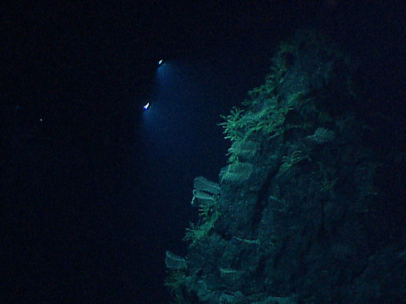 The Remotely Operated Vehicle (ROV) Little Hercules investigates an animal hot-spot on the submarine volcano termed 'Site G' at approximately 2,120 meters depth.
