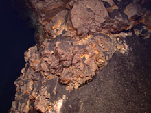 The slope explored during today’s dive on Kawio Barat was covered by dark volcaniclastic sediments – fine bits of pulverized rock produced by explosive lava eruption higher up the slope.