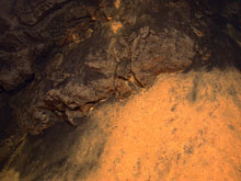 The surface of the sediments is often covered by bright white or orange coatings produced when warm fluids percolate up through the sand-like sediments and encounter cold seawater. The iron and sulfur carried by the warm fluids produce orange or yellow-white coatings that stand out vividly against the dark background.