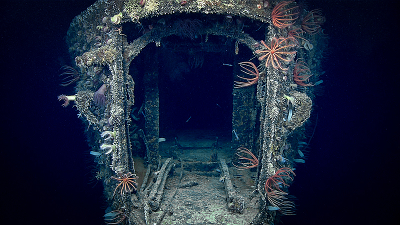 The stern of the USS Baltimore, which was used for laying sea mines during World War I, seen during the Deep-Sea Symphony: Exploring the Musicians Seamounts (EX1708) in 2017.
