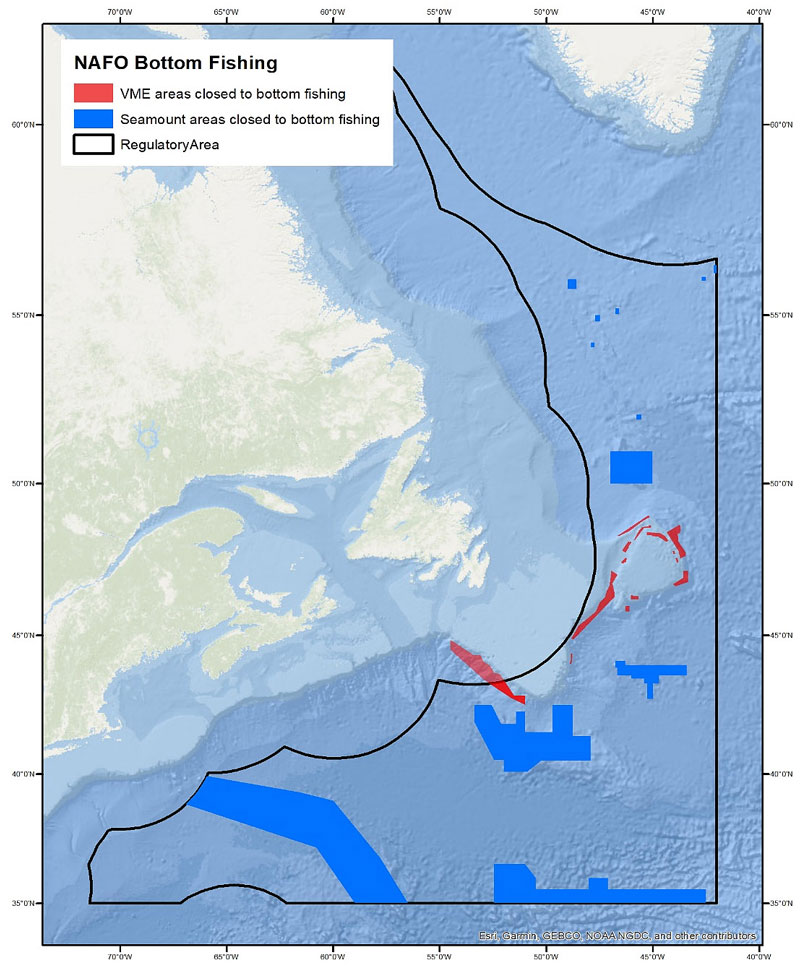 Vulnerable marine ecosystem sites within the Northwest Atlantic Fisheries Organization regulatory area closed to bottom fishing for all vessels, with closed areas divided into seamounts (blue) and sponge, coral, and sea pen closures (red).
