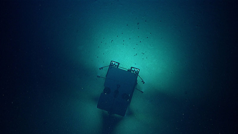 Remotely operated vehicle Deep Discoverer is seen approaching a group of sea urchins during Dive 08 of the third Voyage to the Ridge 2022 expedition. The small dots in front of the vehicles are sea urchins of the species Conolampas sigsbei.