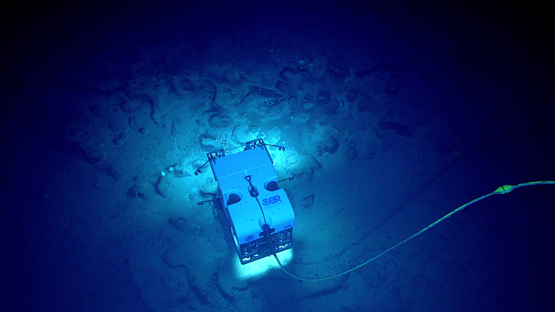 Remotely operated vehicle Deep Discoverer moves over the seafloor during Dive 08 of the second Voyage to the Ridge 2022 expedition. While extensive basalt rubble was seen on the seafloor at the start of the dive, as we approached the upper slope valley of the seamount being explored, there was significantly less basalt rubble or exposed pillow basalts.