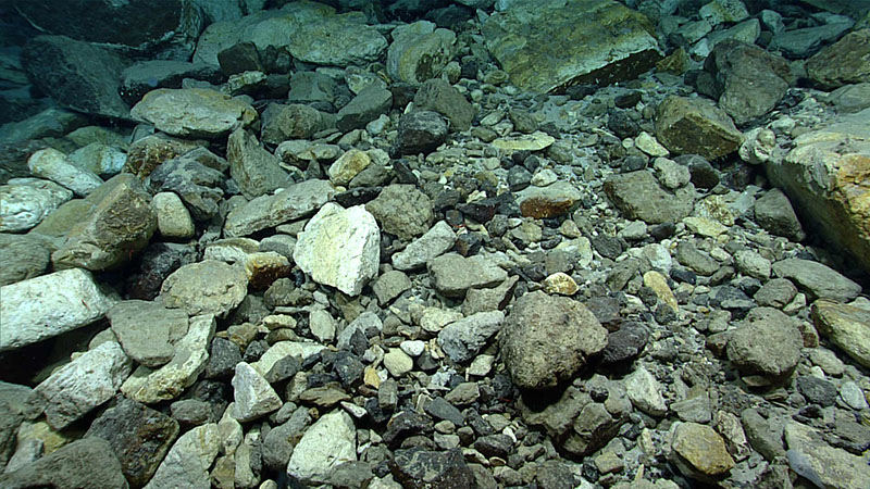 Landslide deposits seen during Dive 01 of the third Voyage to the Ridge 2022 expedition. Given the lack of sediment and biological settlement on the surface of the rocks, the science team believes the landslide took place recently. 