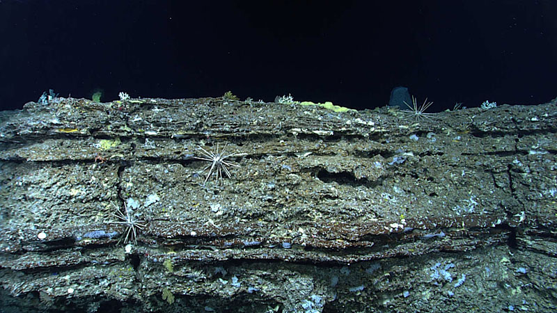Platy, layered volcanoclastics at the top of a ridge seen during Dive 02 of the third Voyage to the Ridge 2022 expedition, east of Formigas Rift.