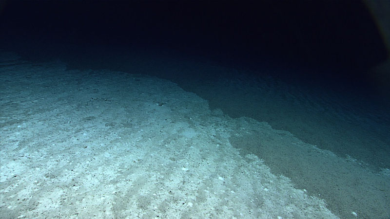 Sediment ripples composed almost entirely of pteropod shells seen during Dive 04 of the third Voyage to the Ridge 2022 expedition.