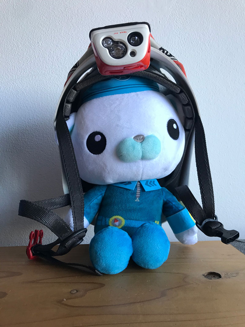 Okay, Octo-Cadets — who's ready for an adventure? Captain Barnacles is! August 6 we set sail for the next Voyage to the Ridge 2022 expedition. Corals, sponges, jellies, hydrothermal vents, fish, cool rocks...so much to look forward to!