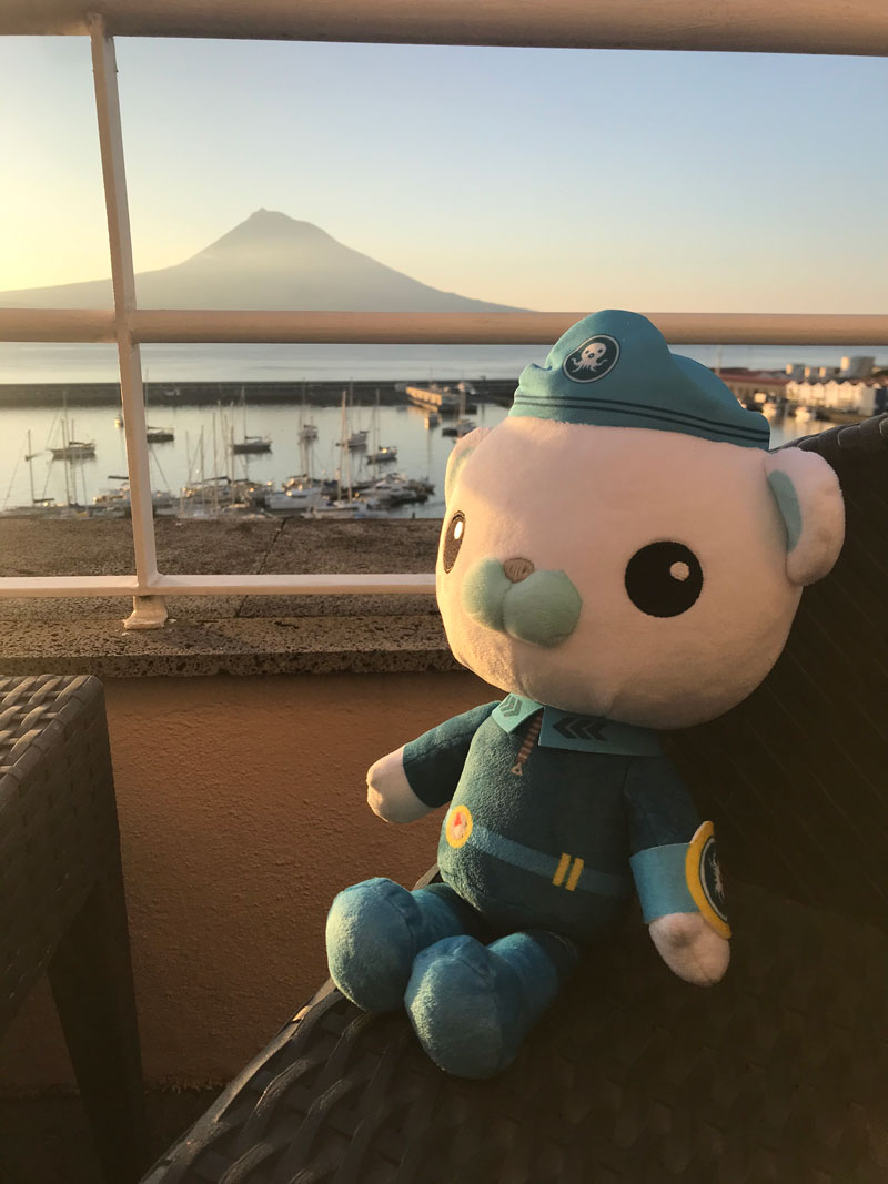 Captain Barnacles has arrived in Horta, Azores, ready to join NOAA Ocean Exploration on NOAA Ship Okeanos Explorer for the third Voyage of the Ridge 2022 expedition.