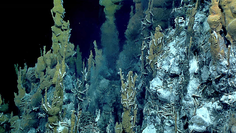 During Voyage to the Ridge 2022, we expect to explore hydrothermal vents via mapping, remotely operated vehicle dives, and CTD (conductivity, temperature, and depth) casts. This spectacular hydrothermal vent was imagined during the 2016 Deepwater Exploration of the Marianas.