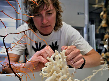 Martha Nizinski examines a deepwater coral specimen collected off the southeastern U.S.