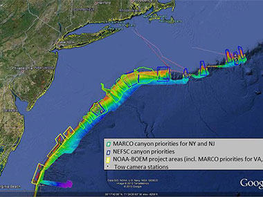 Image includes locations of towed camera operations conducted during a NOAA Ship Henry B. Bigelow expedition in July 2012.