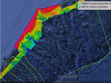 Image includes area surveyed by NOAA Ship Okeanos Explorer during an October 2011 expedition.
