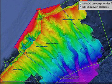 Image includes area surveyed by NOAA Ship Okeanos Explorer during the February 2012 ACUMEN expedition.