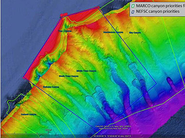 Image includes area surveyed by NOAA Ship Okeanos Explorer during the May/June 2012 ACUMEN expedition.