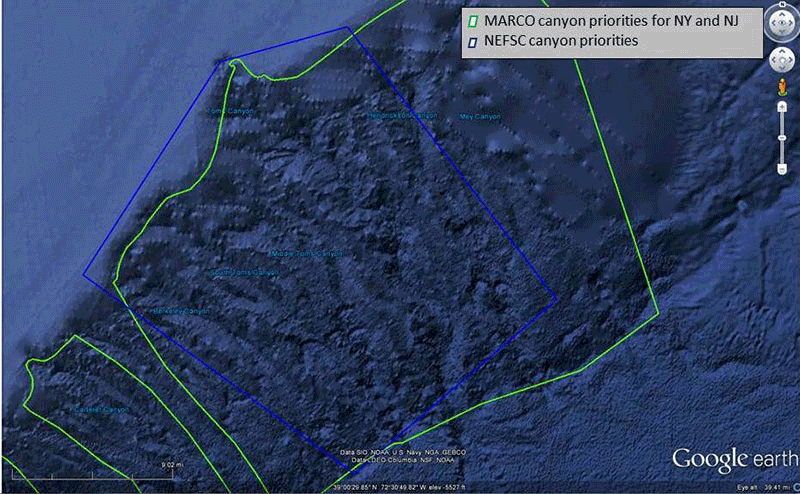 Scientists and managers identified this five-canyon area, the Tom's Canyons complex, as a high-geographic priority. The map displays bathymetry collected by NOAA Ships Okeanos Explorer and Hassler. Yellow dots show the locations of towed camera operations from NOAA ship Bigelow.