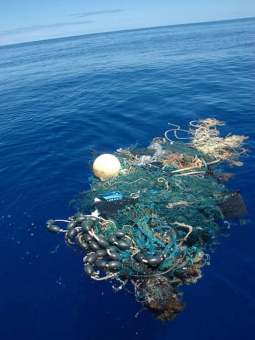 Although much of the debris concentrated in the “garbage patch” is composed of small bits of plastic not immediately visible to the naked eye, large items are occasionally observed. On Aug. 11, Scripps Institution of Oceanography SEAPLEX researchers encountered this large ghost net with tangled rope, net, plastic, and various biological organisms.