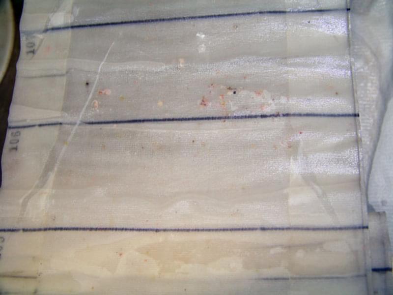 Figure 3. While moving, seawater enters the nose of the CPR and is filtered through a slowly advancing strip of silk mesh that captures plankton. Once the plankton-impregnated silk mesh strips are taken off the ship, they are sent to the laboratory to identify and count the plankton. The silk mesh is removed from the CPR cartridge in this image; the many dots visible in the mesh are zooplankton captured during a CPR tow.