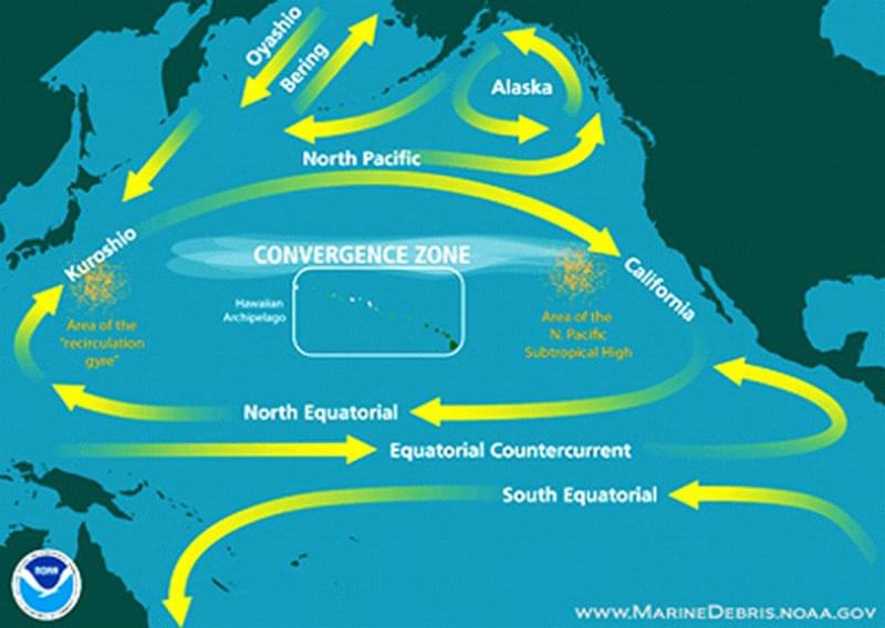Map of the North Pacific Ocean showing (oversimplified) ocean currents and features. These systems have helped concentrate marine debris, especially large quantities of small bits of plastic, in certain areas.