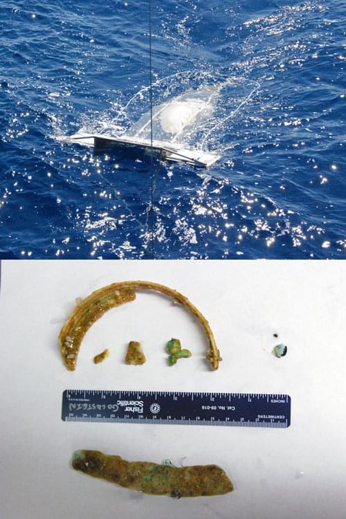 The image above shows the Manta Net during a tow; the image below shows some of the larger debris collected during this afternoon’s Manta Tow, suggesting we have entered the Garbage Patch.