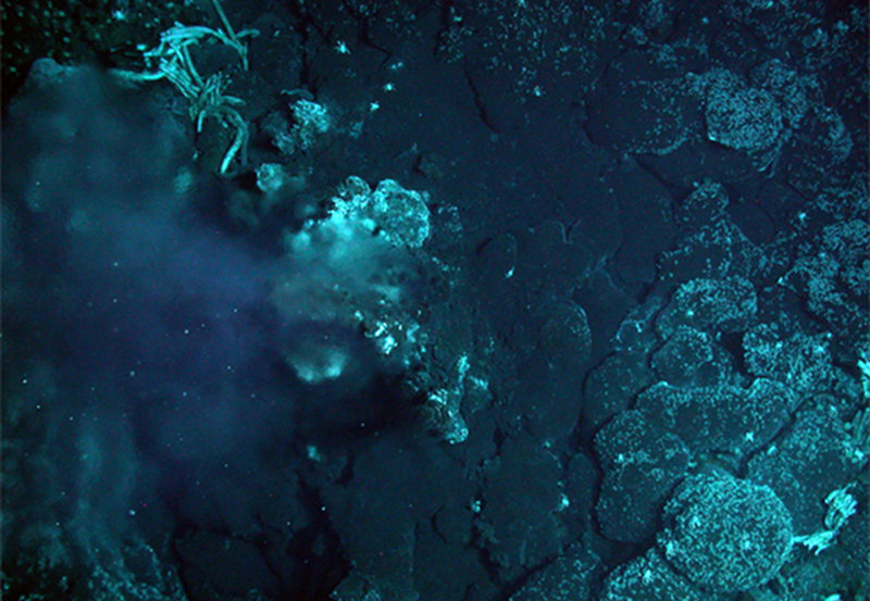 One of the first images of black smokers on the Galápagos Rift (the Navidad vent field) in December 2005.