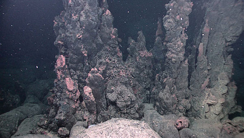 A field of extinct sulfide chimneys, several meters high, rise above the surrounding seafloor.