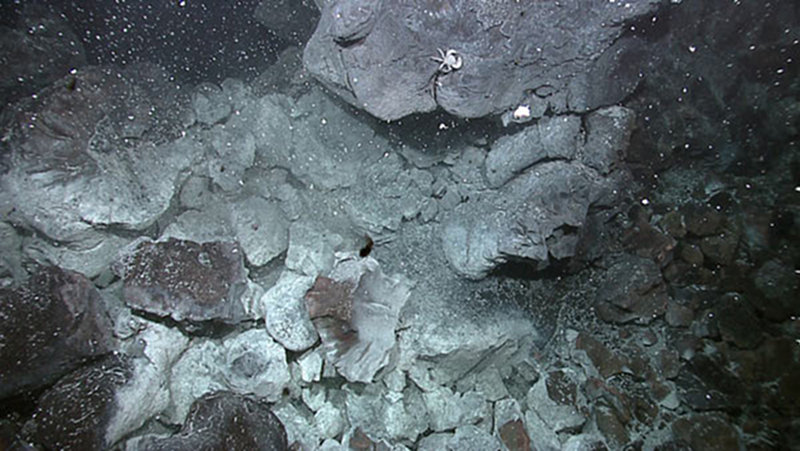 A recent lava flow showing white microbial staining on the broken basaltic rocks, caused by discharge of warm hydrothermal fluids through the seafloor.