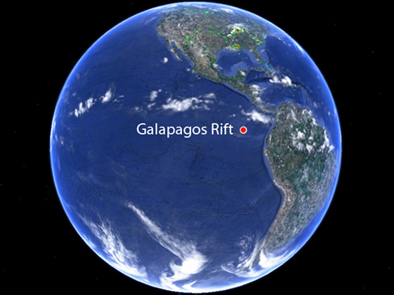 The Galapagos Rift makes up a tiny portion (86-89 W longitude) of the Mid-Ocean Ridge, a global chain of rarely-seen volcanic activity.