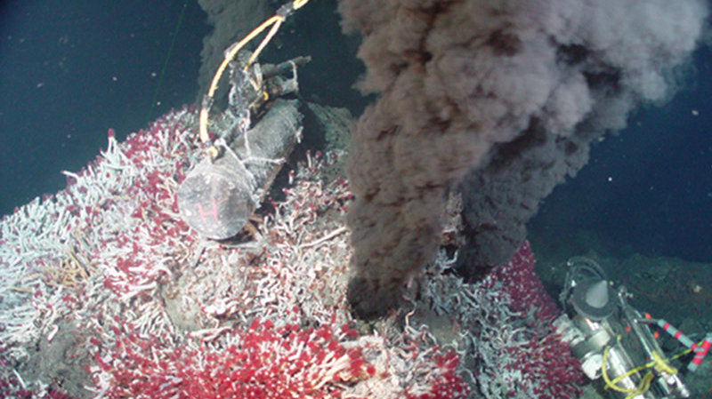 Tubeworms and black smokers from the Juan de Fuca Ridge in the northeastern Pacific Ocean gives a sense of what the Galapagos Rift sulfides might have once looked like.  The tubeworms along the Juan de Fuca Ridge are a smaller relative of the ones found on the Galapagos Rift.