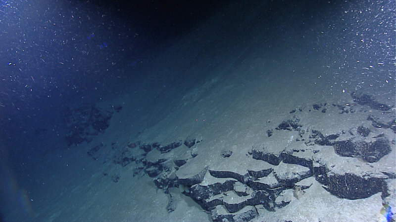 Frozen sheet flow, examples of how lava must have flowed out over the seafloor here at 3500m depth at the Mid-Cayman Rise.