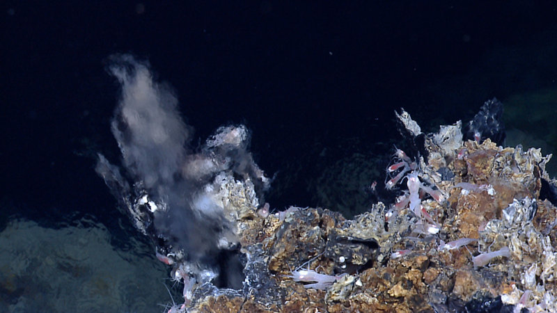 Image of an active hydrothermal vent (left) located SE of the central Von Damm hydrothermal field seen at the very end of our last dive at the MCR.