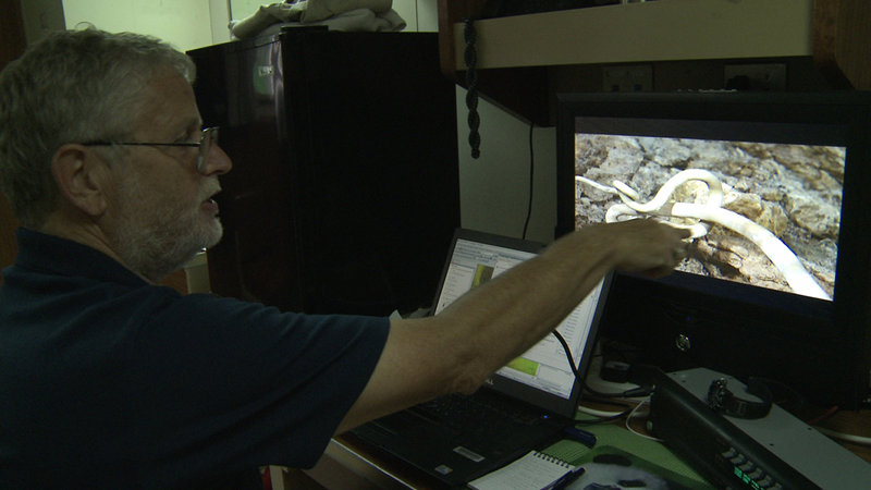 Professor Paul Tyler watches video footage of a tubeworm at the Von Damm hydrothermal field.