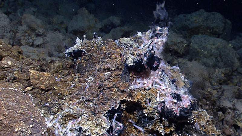 The shimmer effect at this newly discovered hydrothermal vent results from a density contrast between seawater and vent fluid. This density difference is primarily due to a difference in their relative temperatures. This vent does not contain anhydrite (CaSO4), which would be expected to precipitate as a white cloud of mineral ‘smoke’ at 150°C.