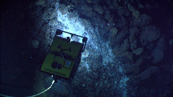 Von Damm hydrothermal vent site