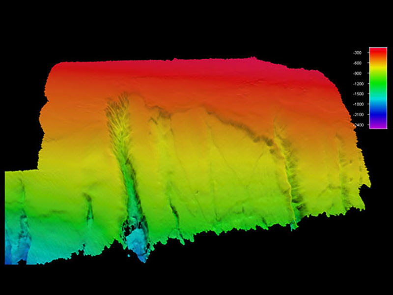Bathymetry from the survey conducted just south of Pamlico Canyon.