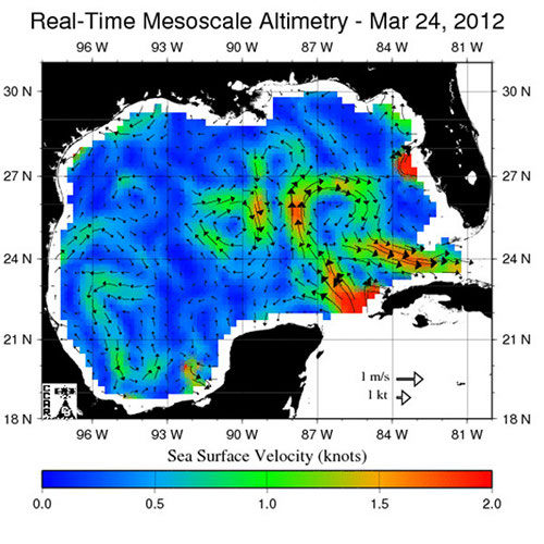 Gulf of Mexico Sea-surface altitude indicating surface current speed