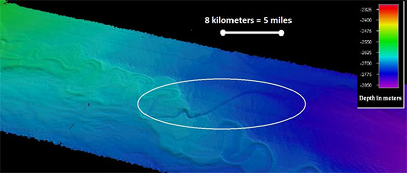 Geologists highlighted the channel branch in the white circle.