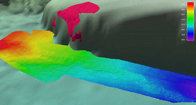 Fledermaus screenshot showing detail of multibeam coverage of the leveed meandering channel. Dashed white oval highlighting possible new channel branch. Additional background data shown courtesy of Sandwell and Smith2. Color scale bar showing depth in meters.