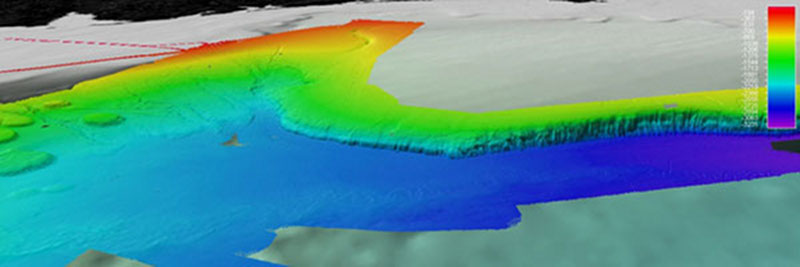 A Fledermaus screenshot showing overview of multibeam coverage surrounding leveed meandering channel. Dashed yellow oval highlighting extent of meandering channel as of 7 April 2012. The West Florida Escarpment is clearly shown in background EM 302 multibeam data. Additional background data shown courtesy of Sandwell and Smith. Color scale bar showing depth in meters.